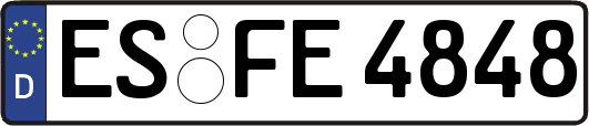 ES-FE4848