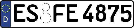 ES-FE4875