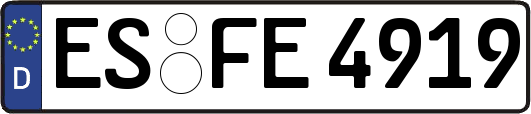 ES-FE4919