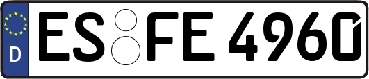 ES-FE4960