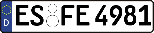ES-FE4981