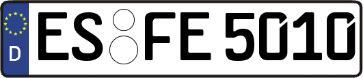 ES-FE5010