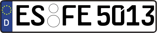 ES-FE5013