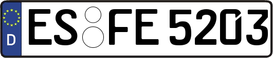 ES-FE5203
