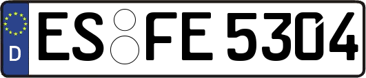 ES-FE5304