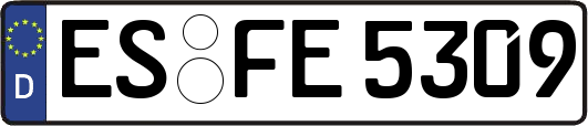 ES-FE5309