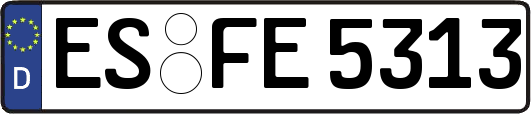 ES-FE5313