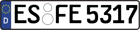 ES-FE5317