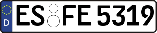 ES-FE5319