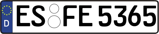 ES-FE5365
