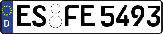 ES-FE5493