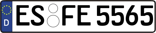 ES-FE5565