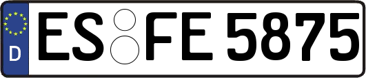 ES-FE5875