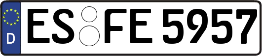 ES-FE5957