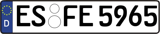 ES-FE5965