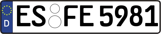 ES-FE5981