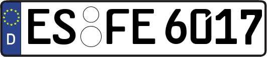 ES-FE6017