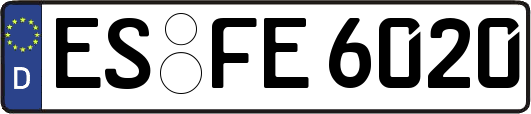 ES-FE6020