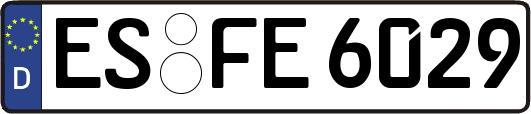ES-FE6029