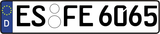 ES-FE6065
