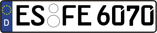 ES-FE6070