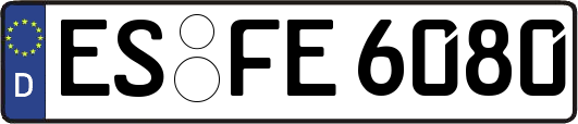 ES-FE6080