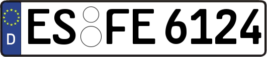 ES-FE6124