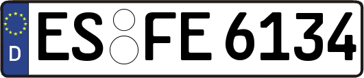 ES-FE6134