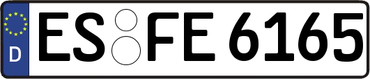ES-FE6165