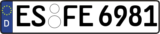 ES-FE6981