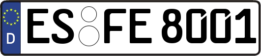 ES-FE8001