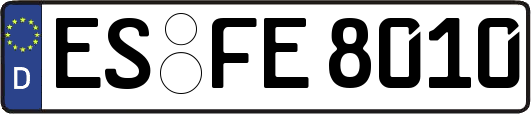 ES-FE8010