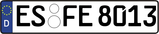 ES-FE8013