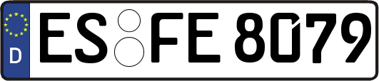 ES-FE8079