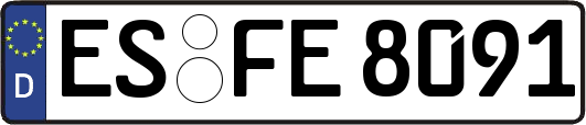 ES-FE8091
