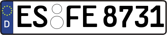 ES-FE8731