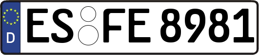 ES-FE8981