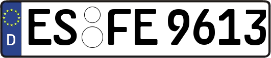 ES-FE9613