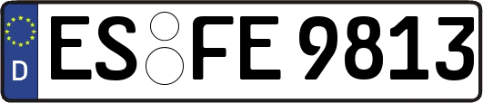 ES-FE9813