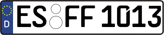 ES-FF1013