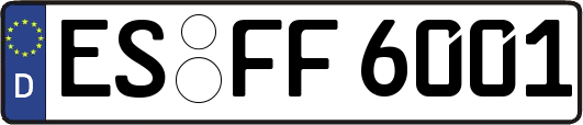 ES-FF6001