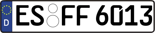 ES-FF6013