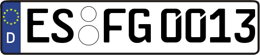 ES-FG0013