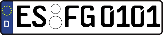 ES-FG0101