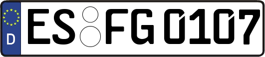 ES-FG0107