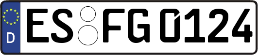 ES-FG0124