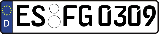 ES-FG0309