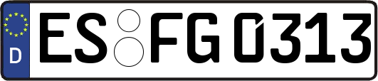 ES-FG0313