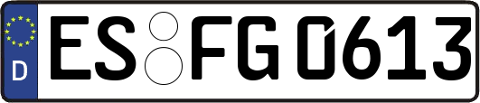ES-FG0613