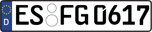 ES-FG0617